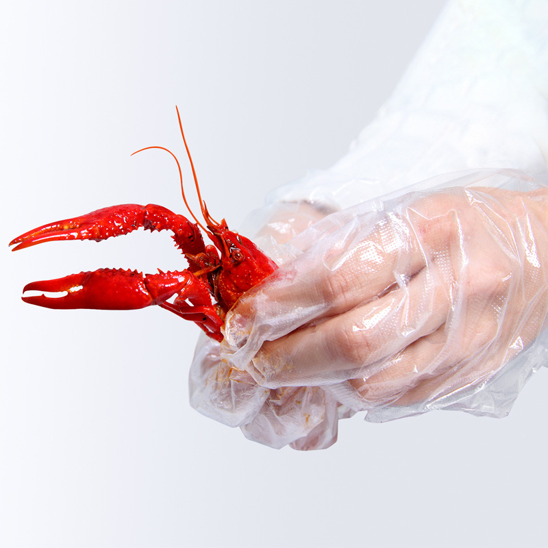 Jednokratne rukavice za prehrambenu industriju, prozirne PE rukavice, prašno otporne, debljina 0,05 mm, 96 komada u kutiji