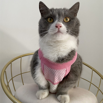 Unisex vuneni džemper za kućne ljubimce, japanski i korejski stil