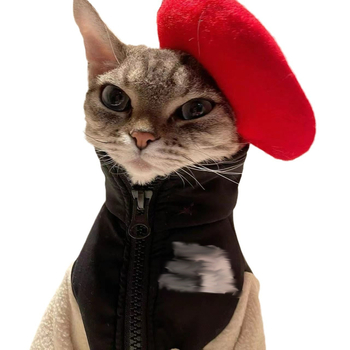 Odjeća za kućne ljubimce: zimski flis džemper kaput (Materijal: poliester vlakno; Kategorija: Odjeća za kućne ljubimce; Primjeren spol: Univerzalno; Uvoz: Ne; IP odobrenje: Ne)