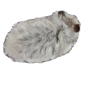 Hamster aljzat és dekoráció: nedvszívó színes papírgolyók, dezodoráló virágágak, pormentes faapríték a hamsterek tájépítéséhez – Cooliby