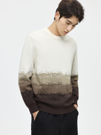 Muški jacquard pleteni pulover sa samovrujućom funkcijom, okruglim izrezom, slobodan kroj, 51–55% pamuka