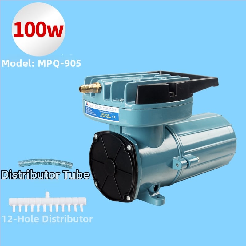 Автомобилна кислородна помпа, DC 12V въздушна помпа, Risheng