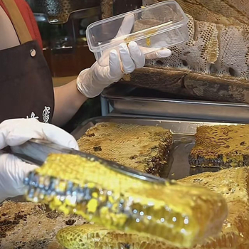 Plastična kutija za skladištenje hrane, kvadratnog oblika, zapremina 501–800 ml, pogodna za mikrovalnu pećnicu, jednostruki sloj, mogućnost tiskanja logotipa