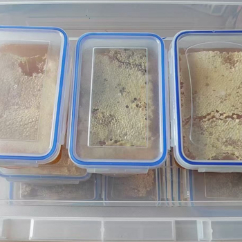Plastična kutija za skladištenje hrane, kvadratnog oblika, zapremina 501–800 ml, pogodna za mikrovalnu pećnicu, jednostruki sloj, mogućnost tiskanja logotipa