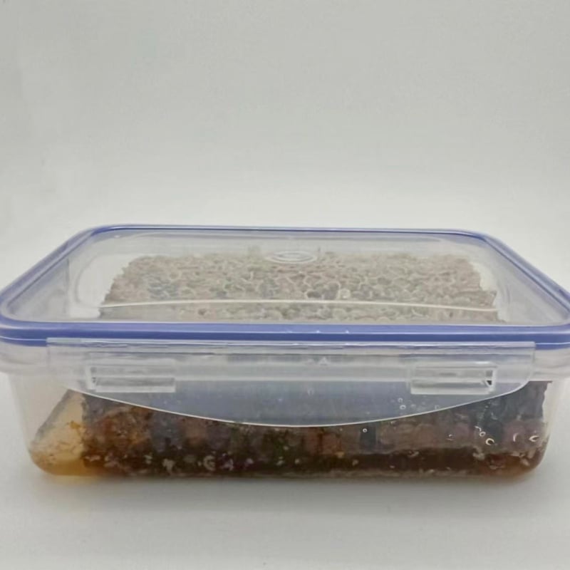 Plastična kutija za skladištenje hrane, kvadratnog oblika, zapremina 501–800 ml, pogodna za mikrovalnu pećnicu, jednostruki sloj, mogućnost tiskanja logotipa
