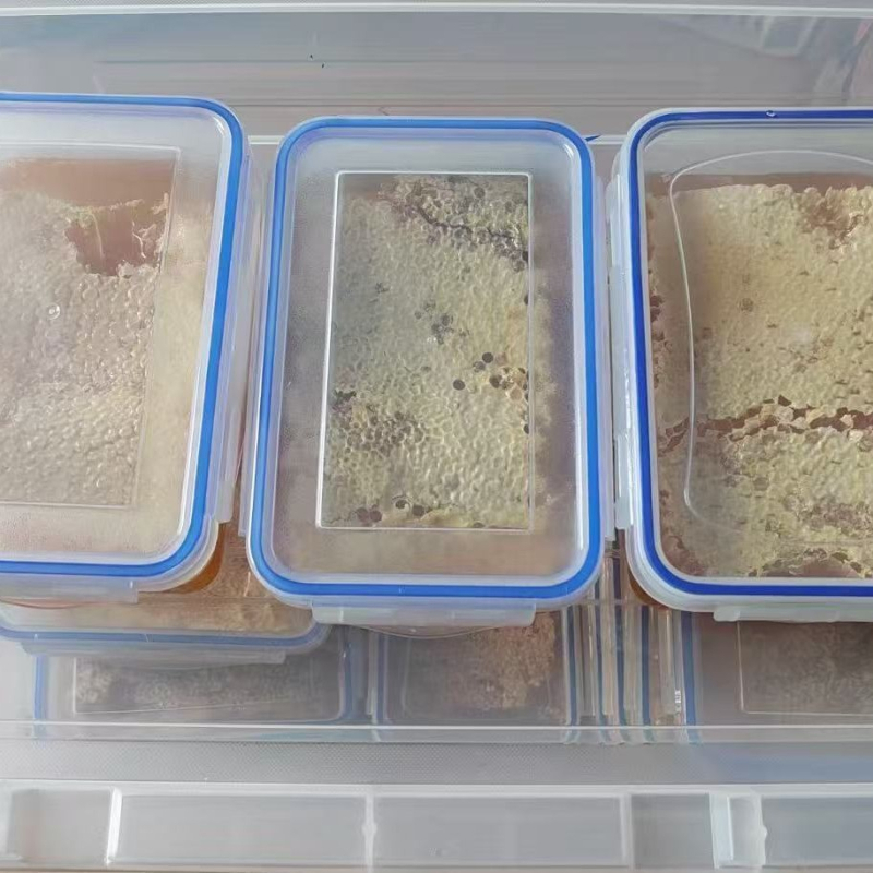 Plastična kutija za skladištenje hrane, kvadratnog oblika, zapremina 501–800 ml, pogodna za mikrovalnu pećnicu, jednostruki sloj, mogućnost tiskanja logotipa