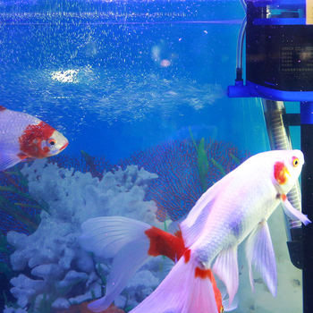 Jialu потопяема помпа за аквариум – 3-в-1 циркулация, кислородиране и филтрация; пластмаса, произход Zhejiang, тегло 40