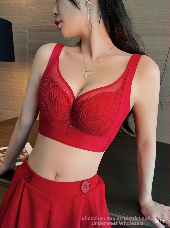 Prilagodljiva grudnjica s čipkom i mekanim čeličnim prstenom za oblikovanje; košarica 5/8, srednje oblikovana košarica