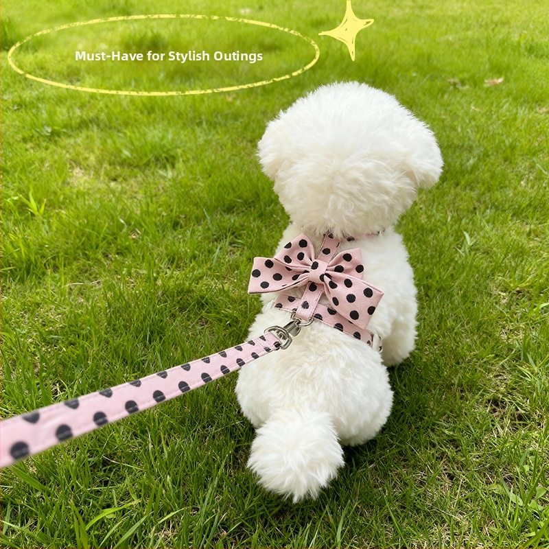 Povez za mačke s anti-izliješenjem — platno, za mačke, kategorija: lanci i užadi za kućne ljubimce, Tow strap, ne proširuje