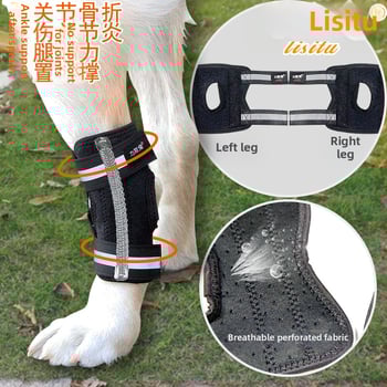 Splint pentru fractură la laba din spate a câinelui – neopren Lis Rabbit, utilizare generală
