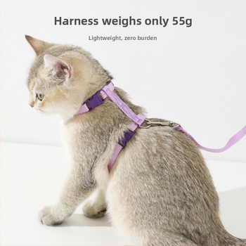 Najlon povodac za mačku, u obliku I, podesiv, ploski remen (Podrijetlo: Zhejiang; Marka: Hawoo/haowo; Uvezeno: Ne)