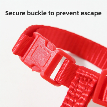 Najlon povodac za mačku, u obliku I, podesiv, ploski remen (Podrijetlo: Zhejiang; Marka: Hawoo/haowo; Uvezeno: Ne)