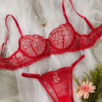 Set grudnjaka s mrežastom izvezom i prozirnim dizajnom, poliester materijal, pamuk podstava, 3/4 šalica, ultratanke oblikovane čašice