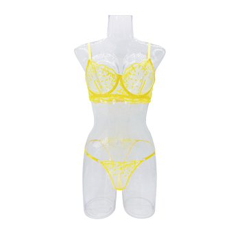 Set grudnjaka s mrežastom izvezom i prozirnim dizajnom, poliester materijal, pamuk podstava, 3/4 šalica, ultratanke oblikovane čašice