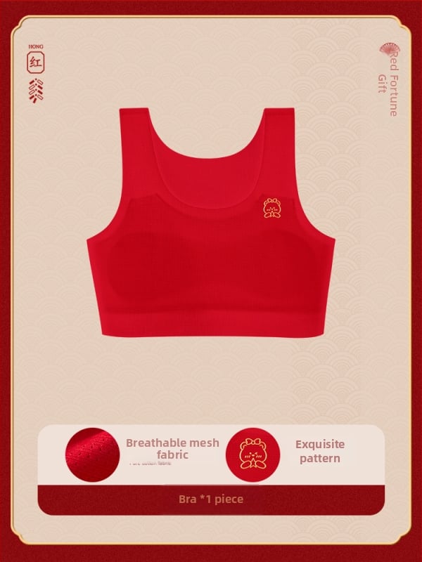 Set donjeg rublja za djevojčice: grudnjak tip veste, najlon, podstava Mulberry svile (<30%), pune košarice, fiksni dvostruki naramenice, prozračan.