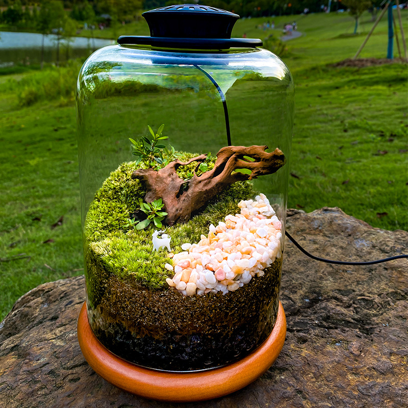 Staklena boca s mikrolandschaftom, drvena podloga i mini pladanj (Materijal: bor; Oblik: mikrolandschaft s mahom; Stil: idiličan; Tehnologija proizvodnje: ekološka tehnologija boce; Pakiranje: kožna kutija)