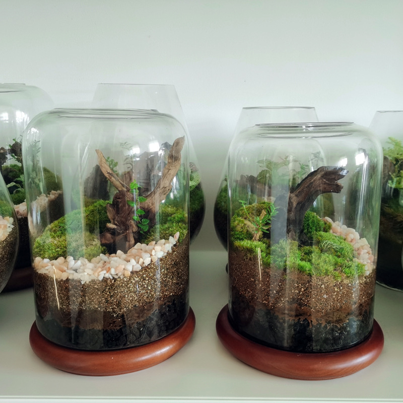 Staklena boca s mikrolandschaftom, drvena podloga i mini pladanj (Materijal: bor; Oblik: mikrolandschaft s mahom; Stil: idiličan; Tehnologija proizvodnje: ekološka tehnologija boce; Pakiranje: kožna kutija)