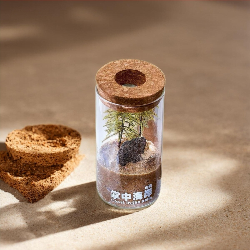 Stakleno akvarij s mikro pejzažom • ručna izrada • model: mikro pejzaž • stil: lagani luksuz • prilagodljivo