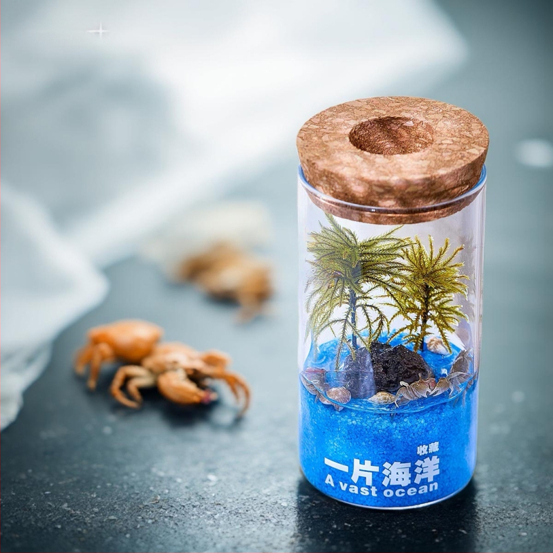 Stakleno akvarij s mikro pejzažom • ručna izrada • model: mikro pejzaž • stil: lagani luksuz • prilagodljivo