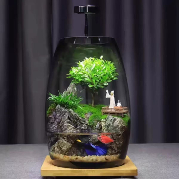 Γυάλινο θερμοκήπιο-διακοσμητικό για μικροτοπίο με βρύα και φυτά, υδροπονική φιάλη, διακοσμητικό γραφείου, Crystal yao