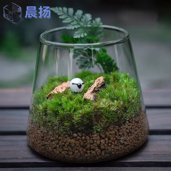 Peisaj micro cu mușchi în sticlă borosilicat pentru birou – decor de birou cu element acvatic