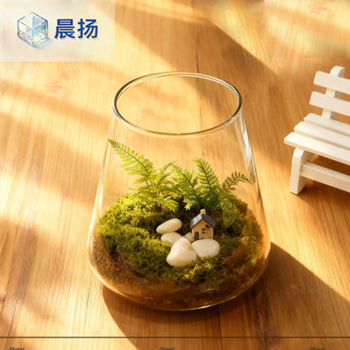 Peisaj micro cu mușchi în sticlă borosilicat pentru birou – decor de birou cu element acvatic