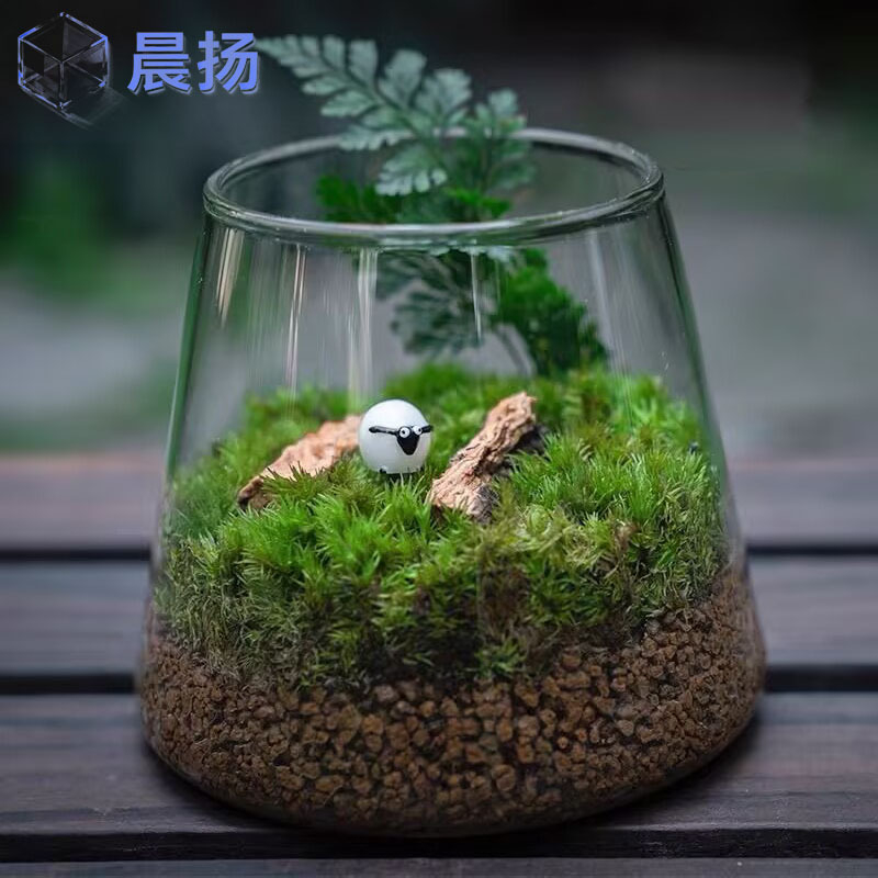 Peisaj micro cu mușchi în sticlă borosilicat pentru birou – decor de birou cu element acvatic