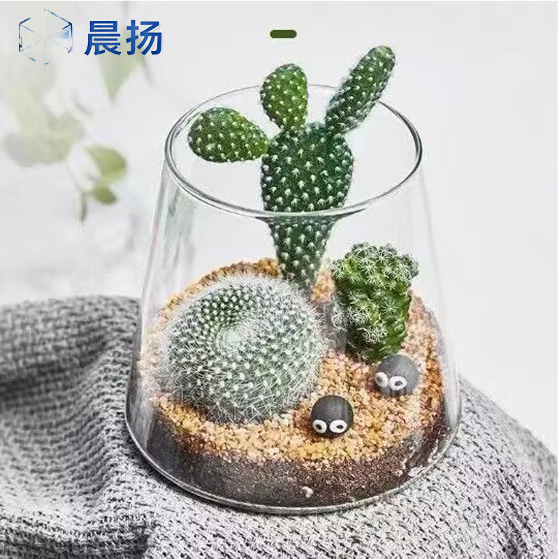 Peisaj micro cu mușchi în sticlă borosilicat pentru birou – decor de birou cu element acvatic