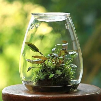 Mini Shizuku boca za ured — stolni mikro pejzaž, visoko borosilikatno staklo, puhano staklo, prilagodljivost, svijetao luksuzni stil