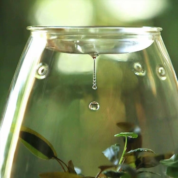 Mini Shizuku boca za ured — stolni mikro pejzaž, visoko borosilikatno staklo, puhano staklo, prilagodljivost, svijetao luksuzni stil