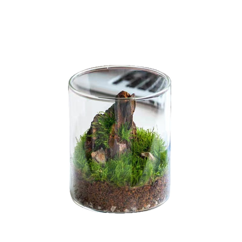 Staklena boca s mahovinom za mikro pejzaž, oblik rockery, ručno izrađeno