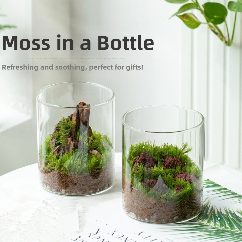 Staklena boca s mahovinom za mikro pejzaž, oblik rockery, ručno izrađeno