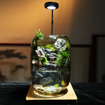 Staklena mikropejzažna boca s mahovinom i živim biljkama, antički stil, ručna izrada