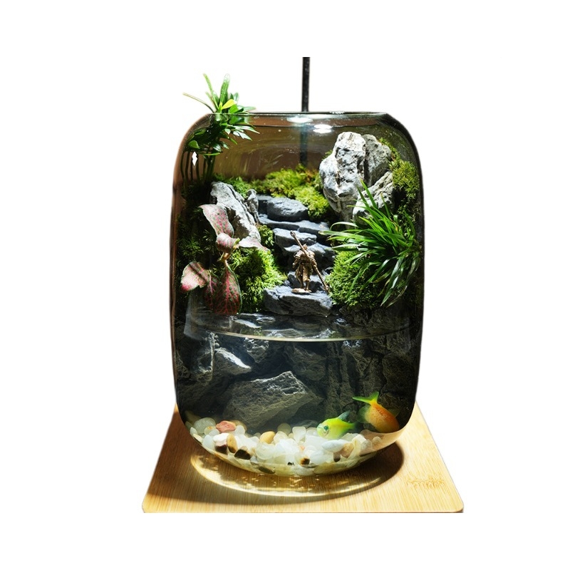 Staklena mikropejzažna boca s mahovinom i živim biljkama, antički stil, ručna izrada
