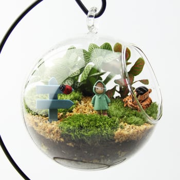 Set mikrolandskapa s mahom u borosilikatnom staklu, ručna izrada, pastoralni stil, mogućnost prilagodbe — Small Space Big World