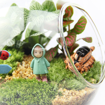 Set mikrolandskapa s mahom u borosilikatnom staklu, ručna izrada, pastoralni stil, mogućnost prilagodbe — Small Space Big World