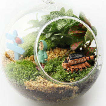 Set mikrolandskapa s mahom u borosilikatnom staklu, ručna izrada, pastoralni stil, mogućnost prilagodbe — Small Space Big World
