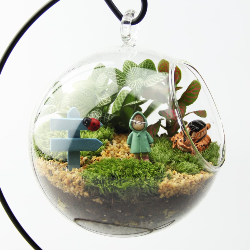 Set mikrolandskapa s mahom u borosilikatnom staklu, ručna izrada, pastoralni stil, mogućnost prilagodbe — Small Space Big World