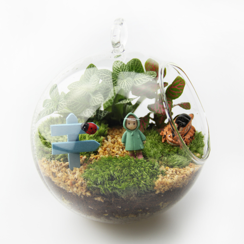 Set mikrolandskapa s mahom u borosilikatnom staklu, ručna izrada, pastoralni stil, mogućnost prilagodbe — Small Space Big World