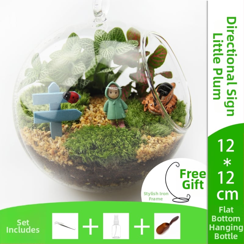 Set mikrolandskapa s mahom u borosilikatnom staklu, ručna izrada, pastoralni stil, mogućnost prilagodbe — Small Space Big World