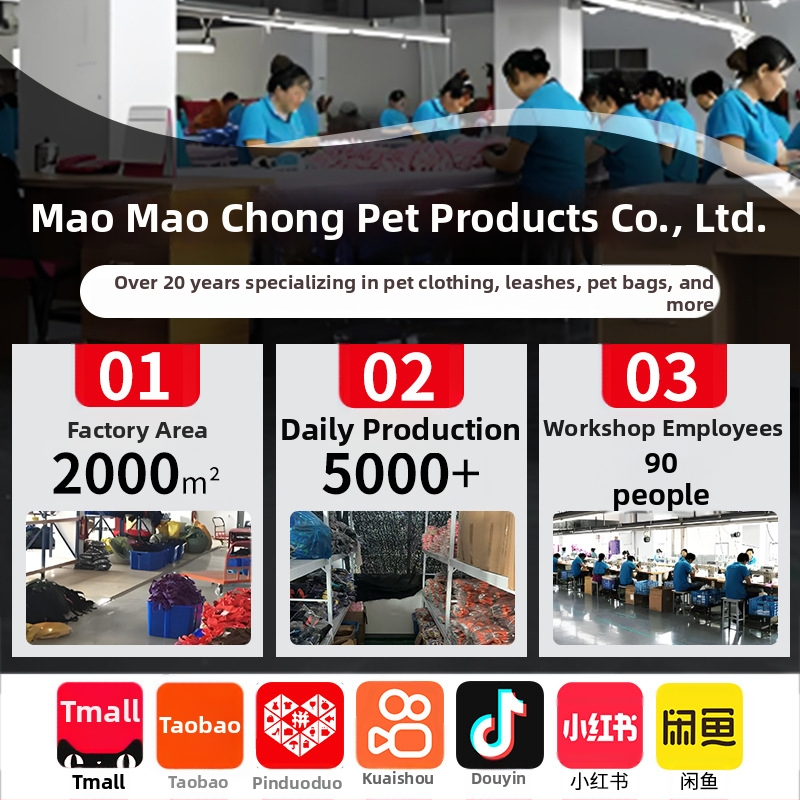 Set za mačku: podesivi najlonski povodac i postroj, kod 904