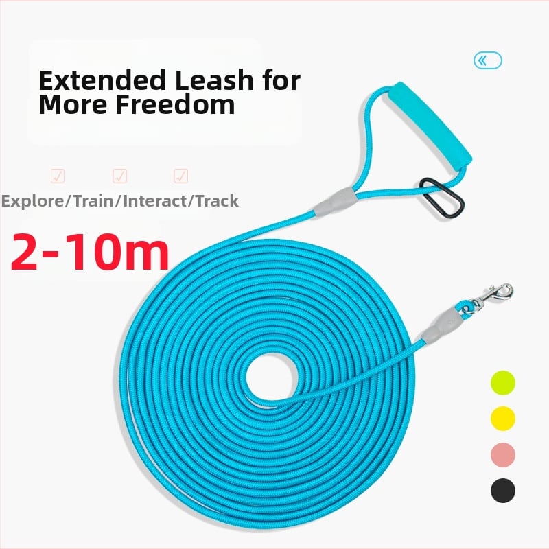 Povodac za psa Zichen (pet) – poliester trakcion pojas, ne povlači se, za šetnju sa psom