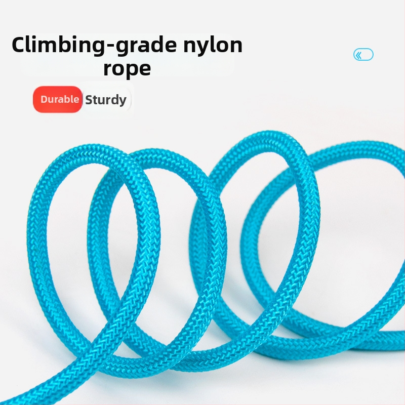 Povodac za psa Zichen (pet) – poliester trakcion pojas, ne povlači se, za šetnju sa psom