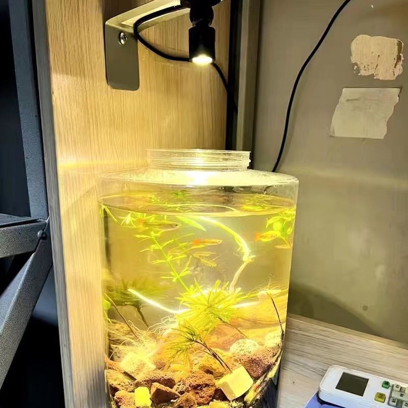 Stolni mini reflektor za akvarij - aluminij, ≤5W, proizvedeno u Kini
