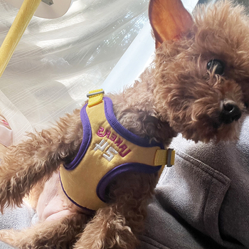 Θωρακική γιλέκα με διχτυωτή κατασκευή για σκύλους — Crisp Pet, ιμάντας/αλυσίδα κατοικίδιων