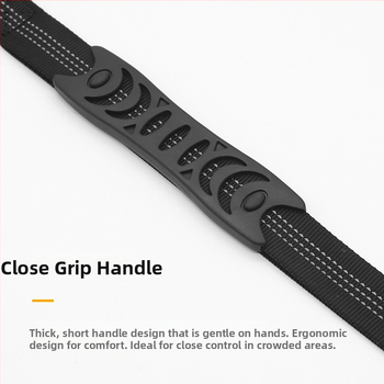 Najlon kaiš za kućne ljubimce, podesiv, marka Chuangjie, kategorija lanaca i užadi za kućne ljubimce, porijeklo Guangdong