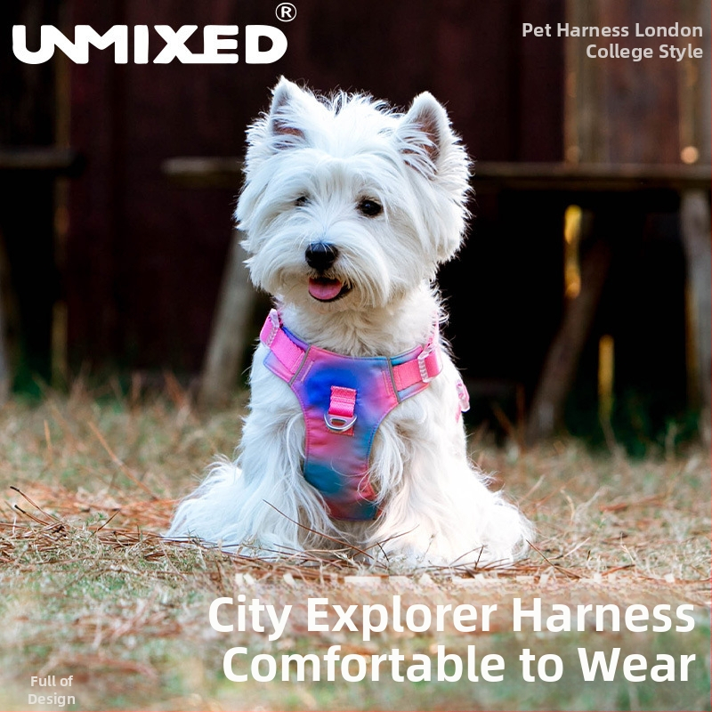 Pasji prsni harnes s gradijentnim dizajnom, podesiv, otporan na hvatanje, poliester