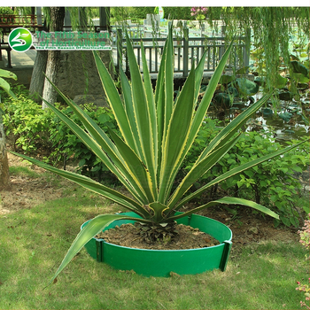 Izolacijska traka za travu i kamen za uređenje vrta — PE materijal, dekorativni vrtni element, Brand Flower Song Road