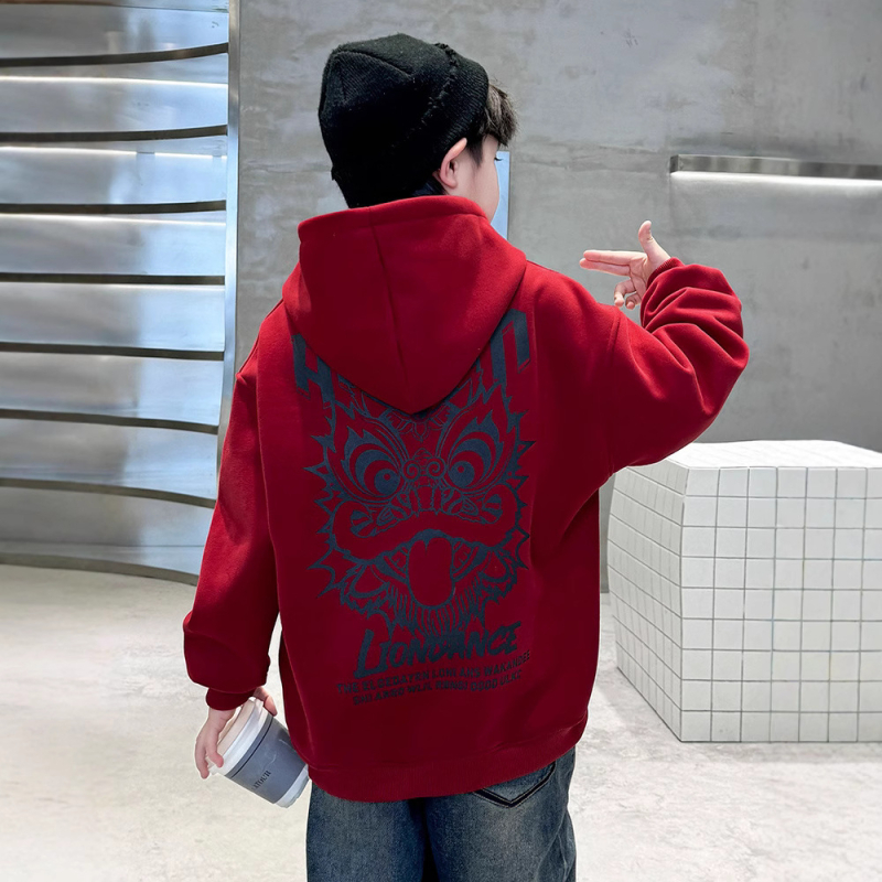 Dječja dukserica s kapuljom od flisa, 90% pamuka, dugi rukavi