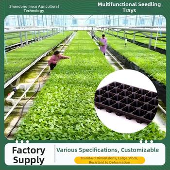 PET posuda za sadnice Seedling tray 002, za uzgoj sadnica, povrća i zelenih projekata, Jin Xu